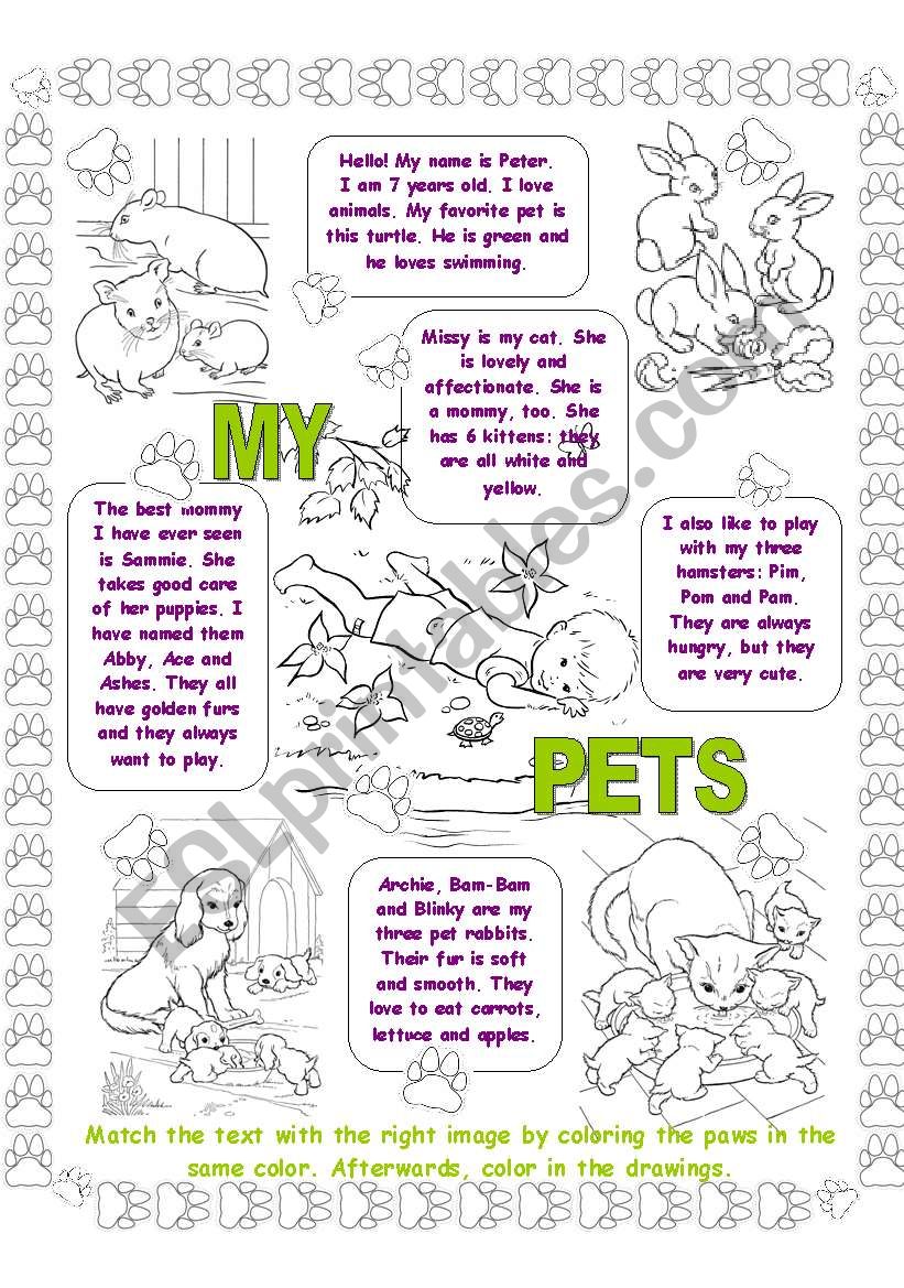 My Pets (Read and Match) worksheet