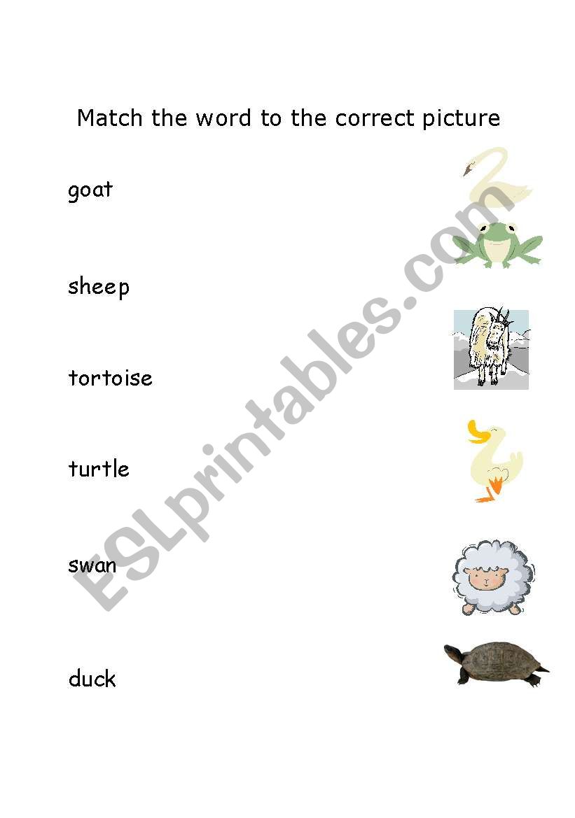 Animals Matching Exercise worksheet