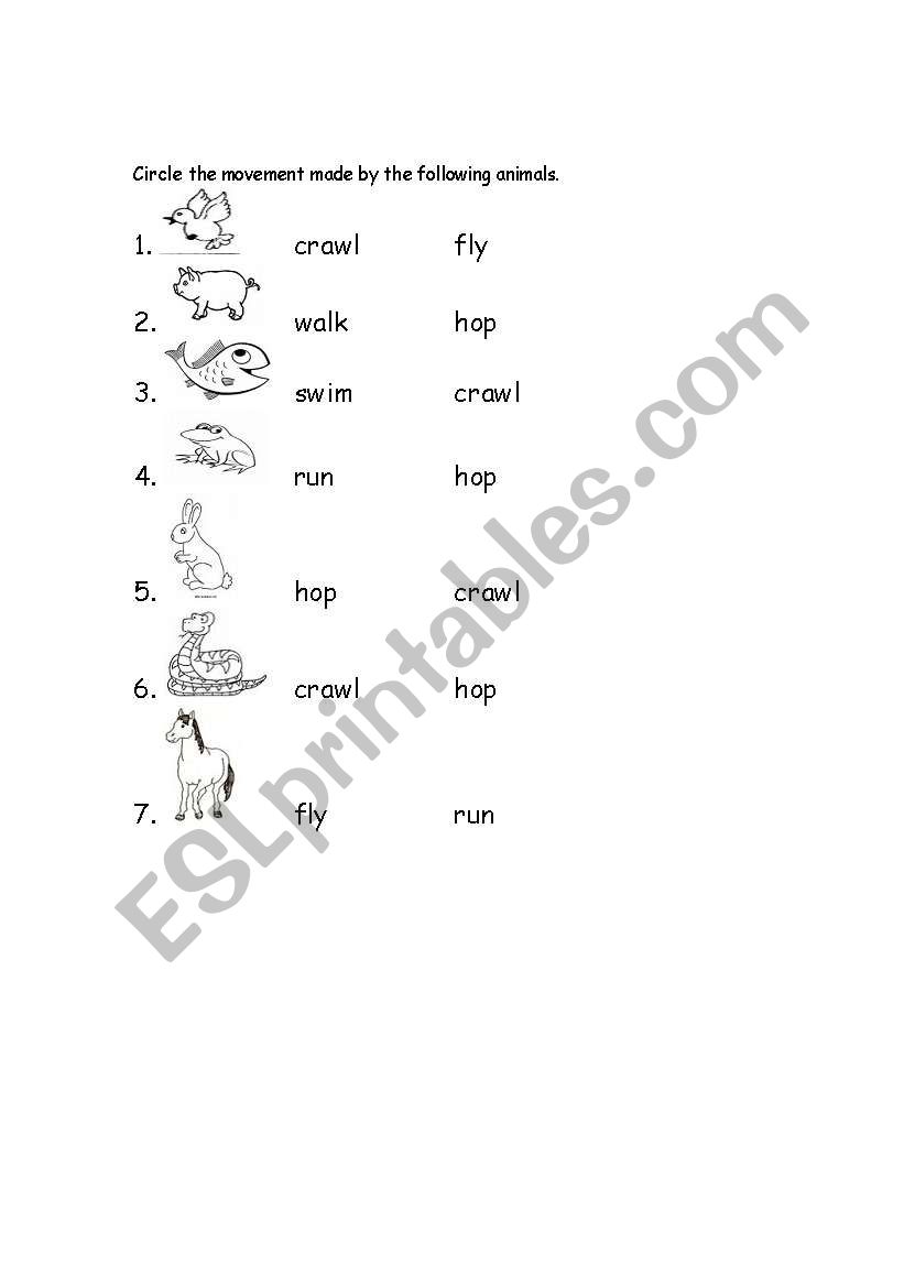 Animal Movements worksheet