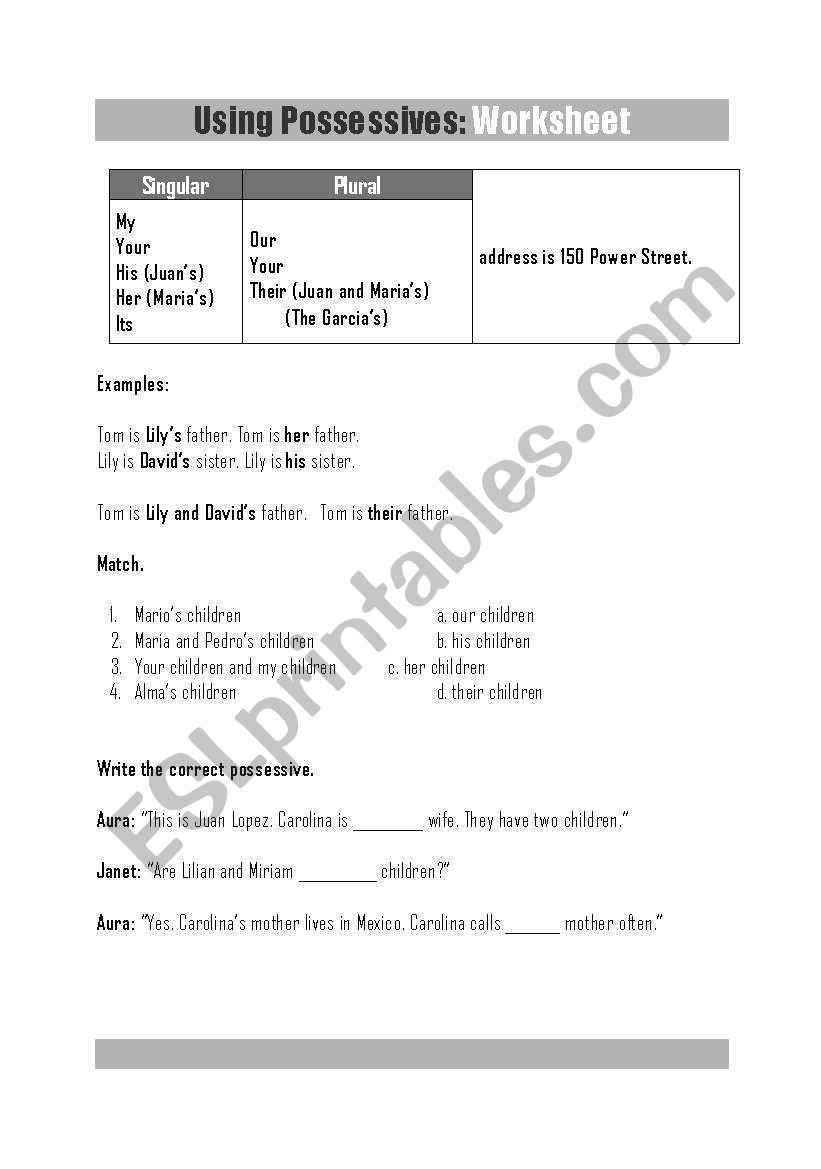 Possessives Worksheet worksheet