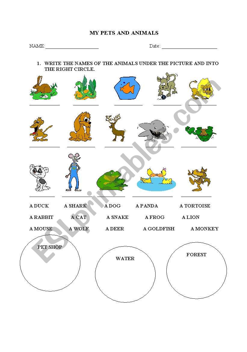 MY PETS AND ANIMALS worksheet