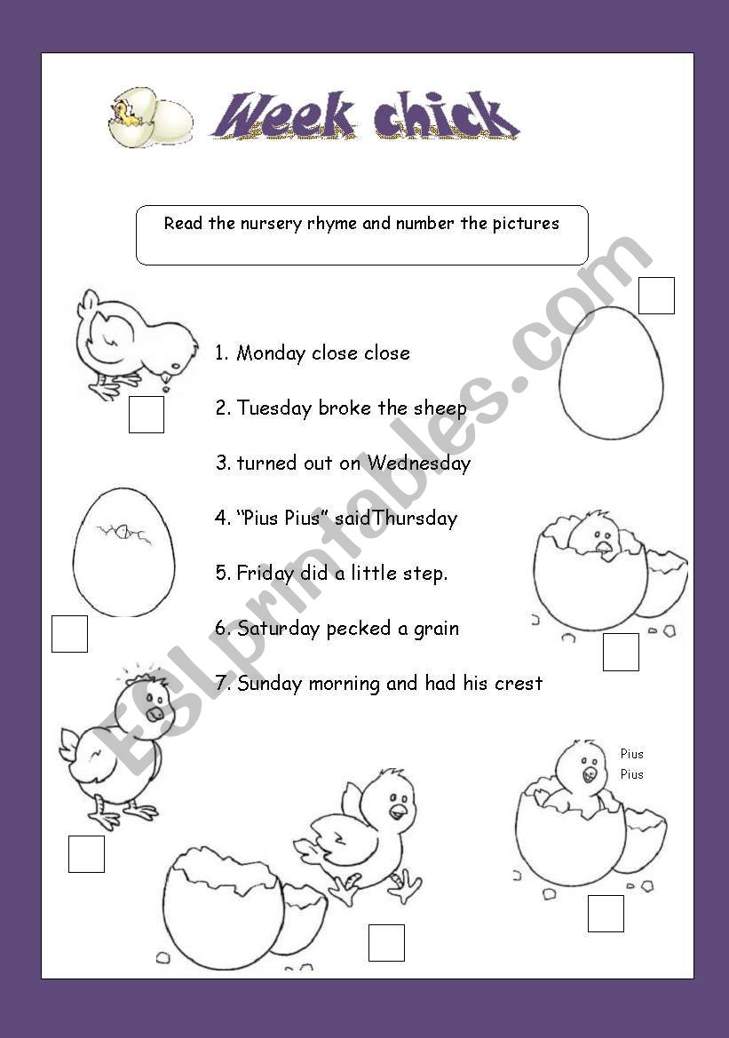 Week chick worksheet