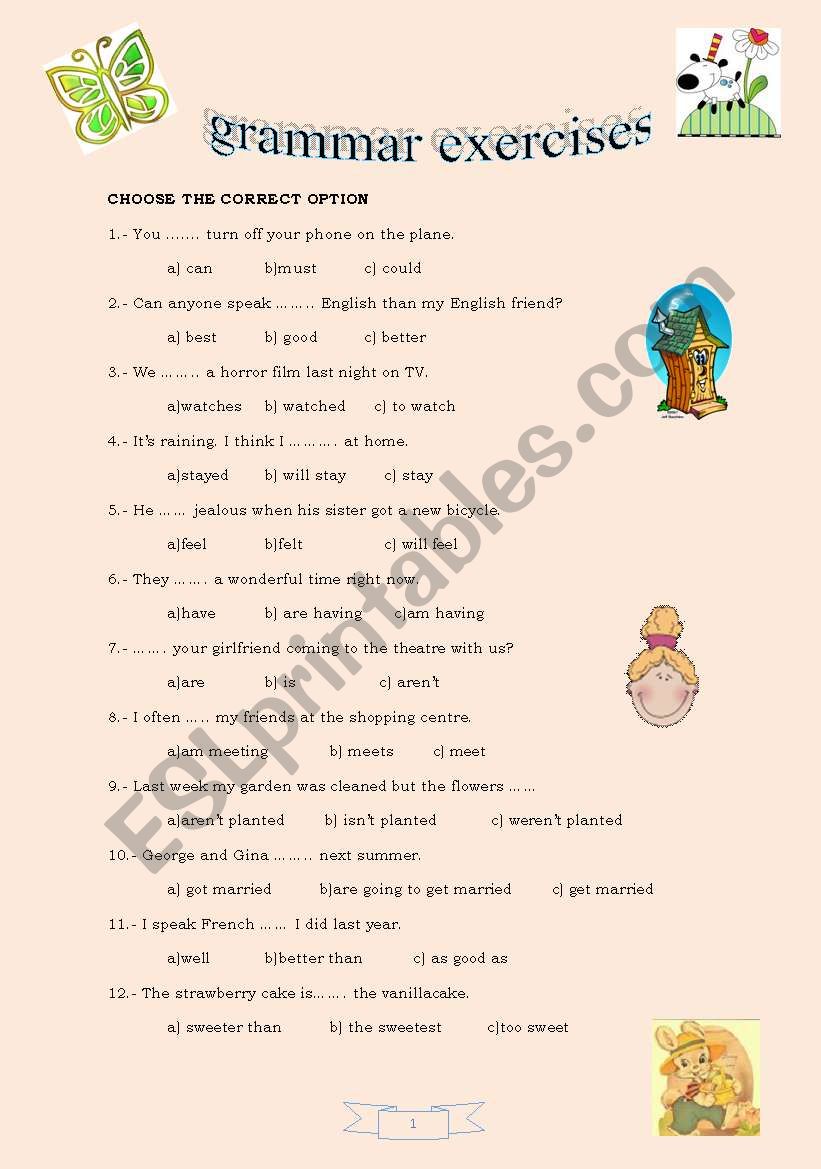 GRAMMAR EXERCISES worksheet