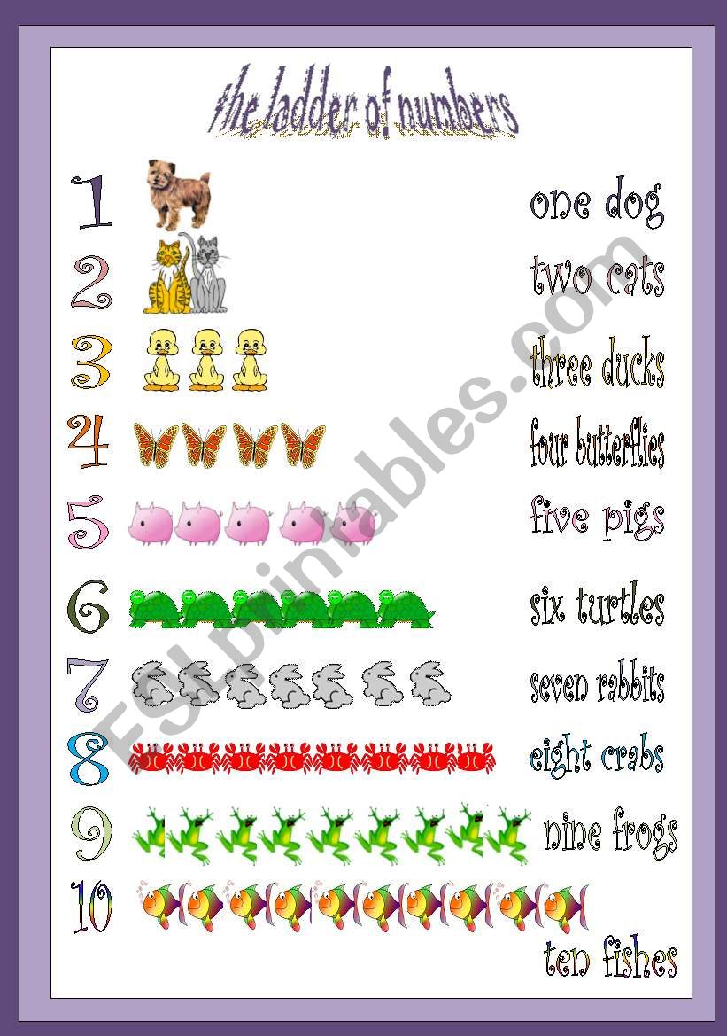 ladder of numbers worksheet