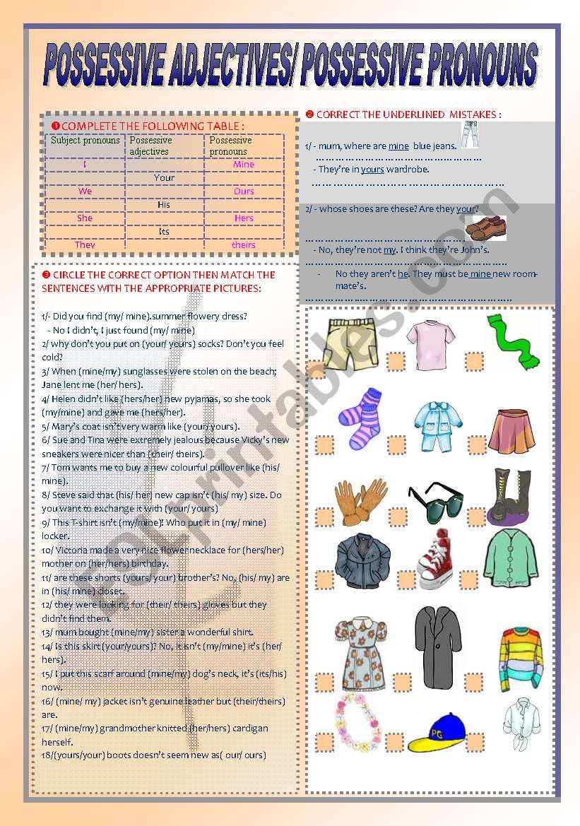 possessive adjectives/ possessive pronouns