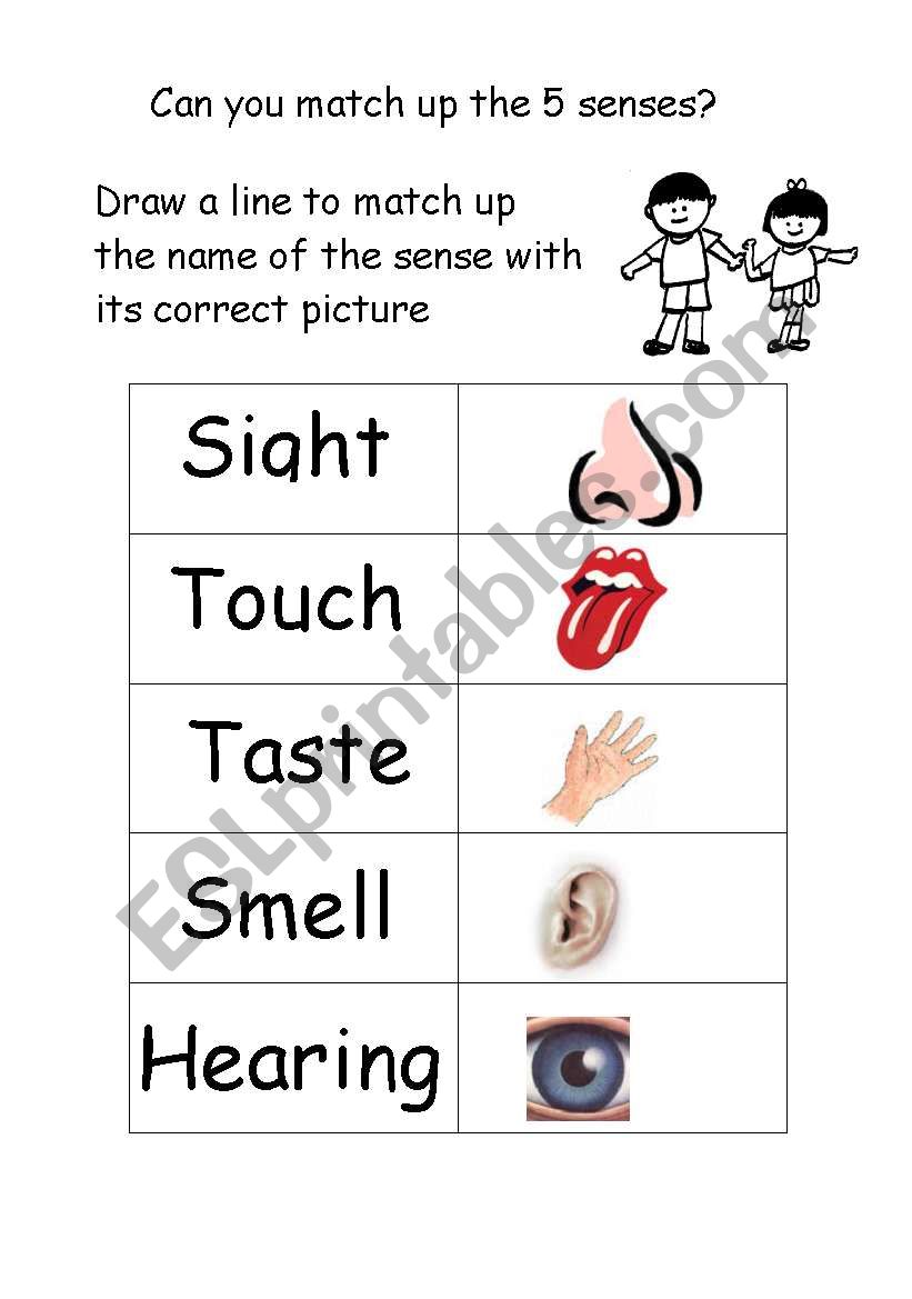 Match Sense worksheet