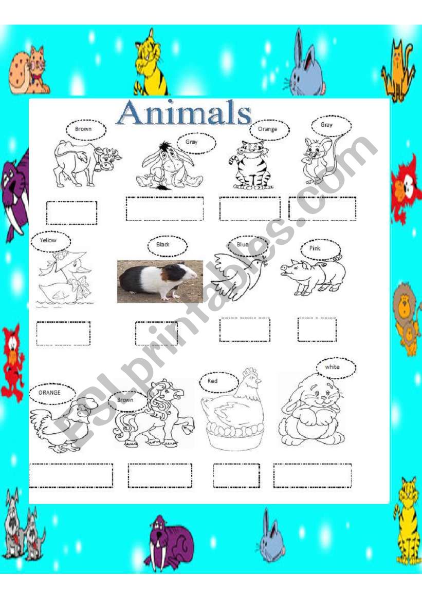 the animals worksheet