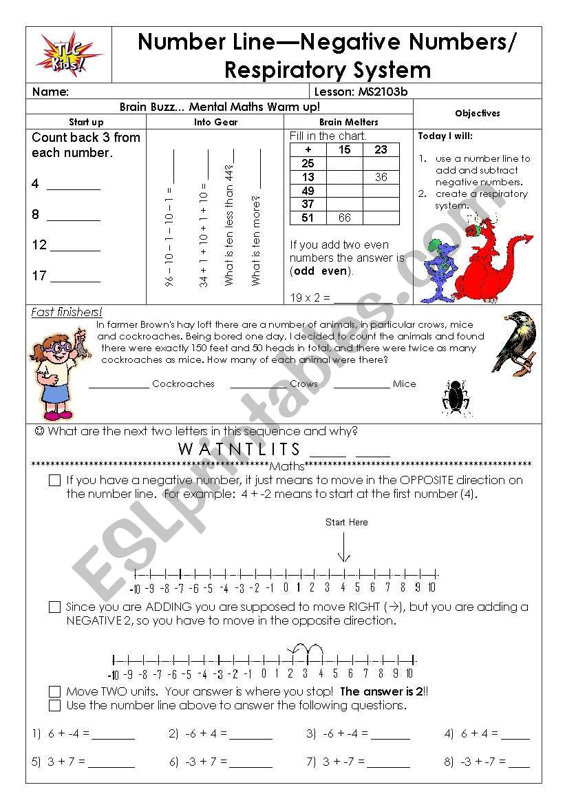 Respiratory system worksheet