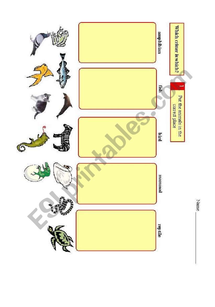 Animal Classification worksheet