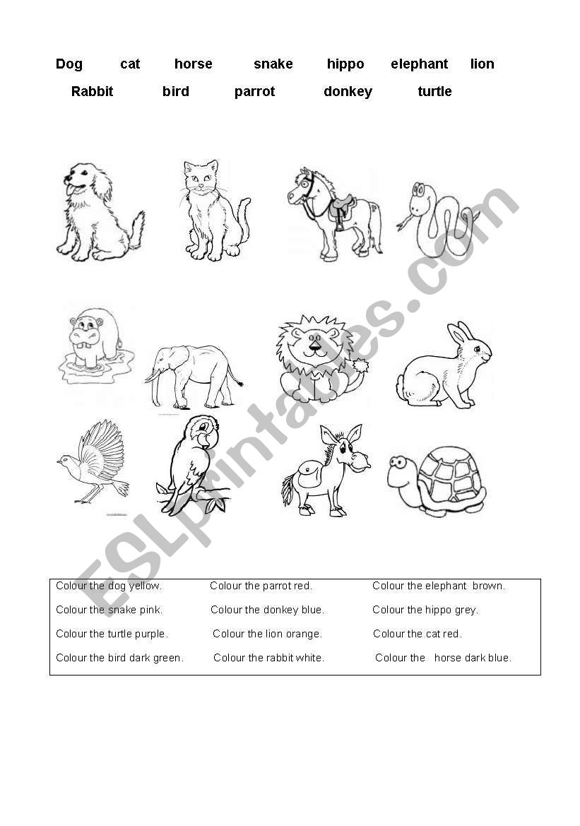 Animals worksheet