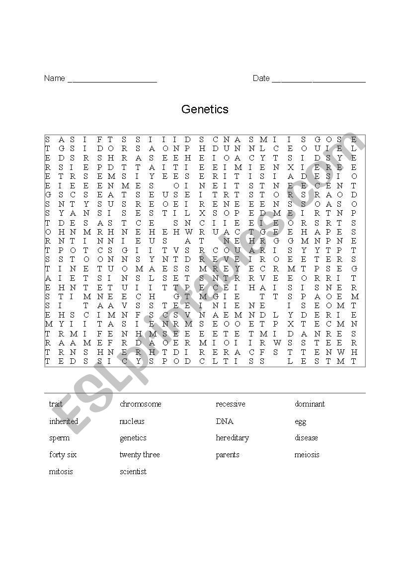 Word search worksheet