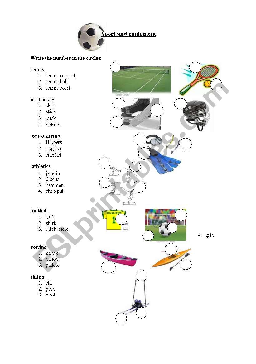 sport and equipment worksheet