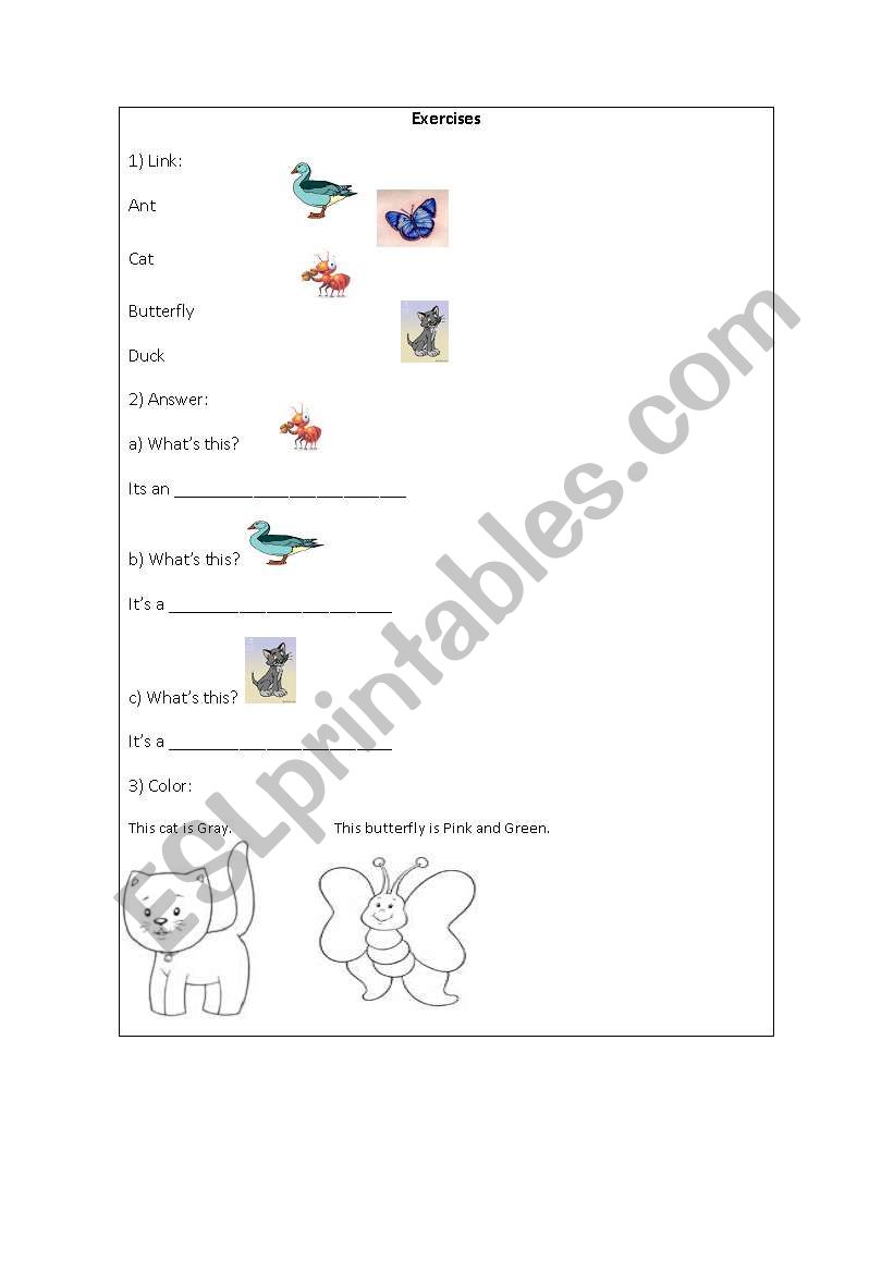 Animals worksheet