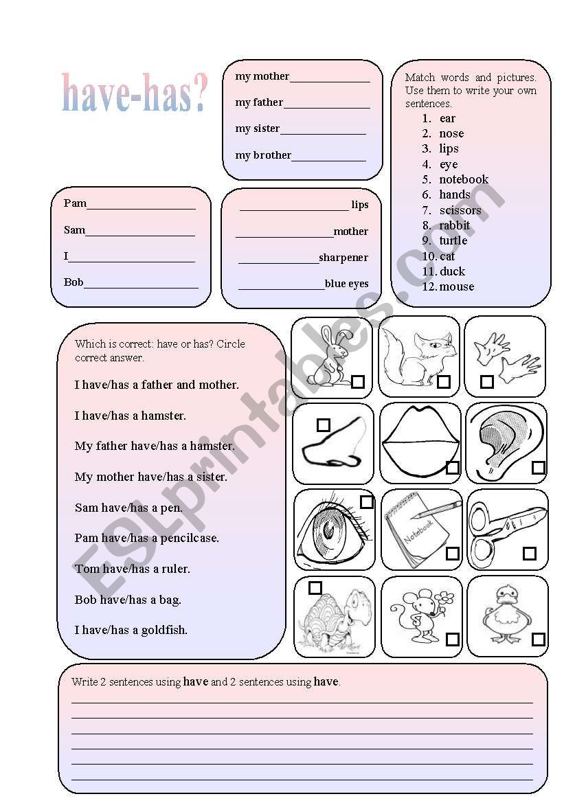 USING HAVE/HAS worksheet