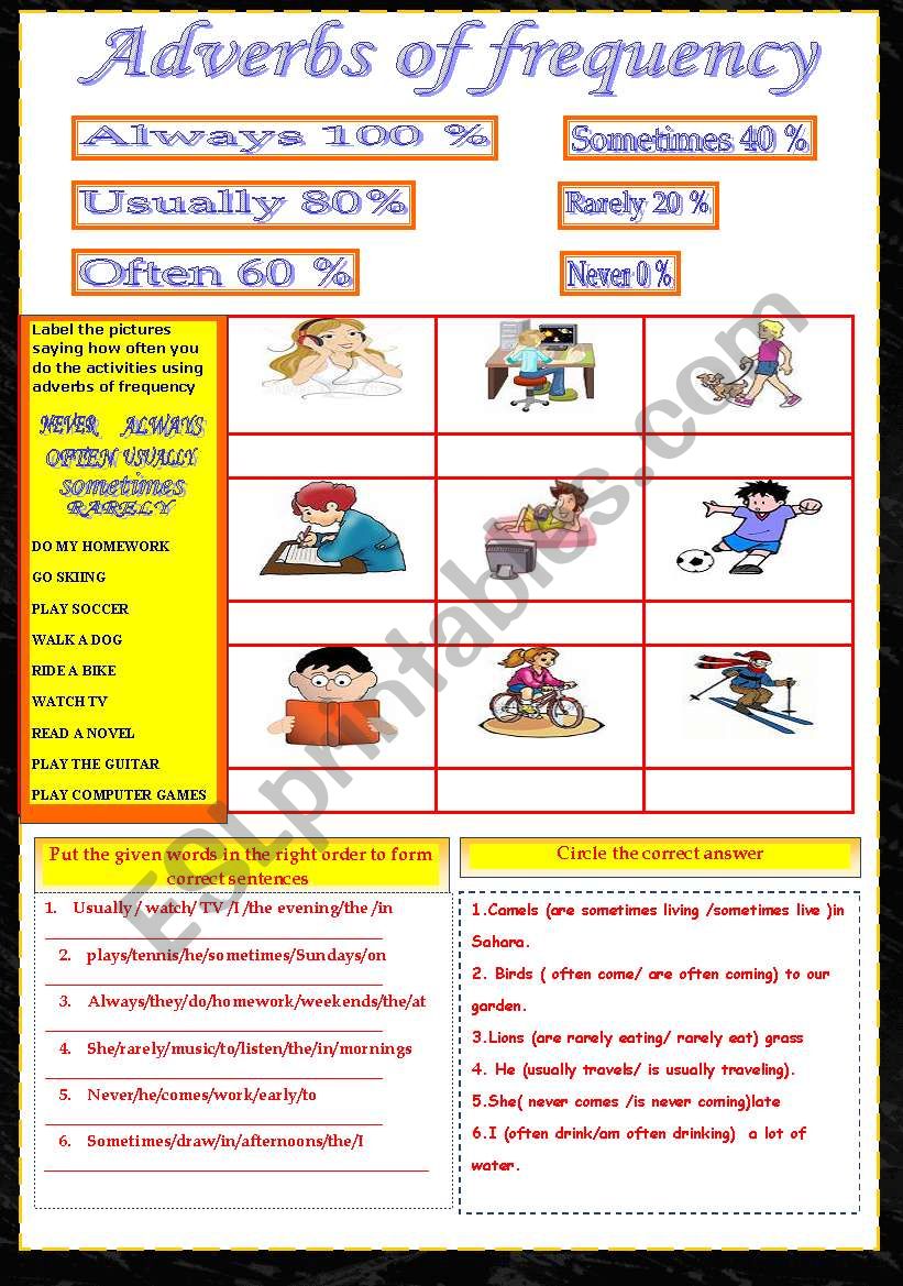 Adverbs of frequency worksheet