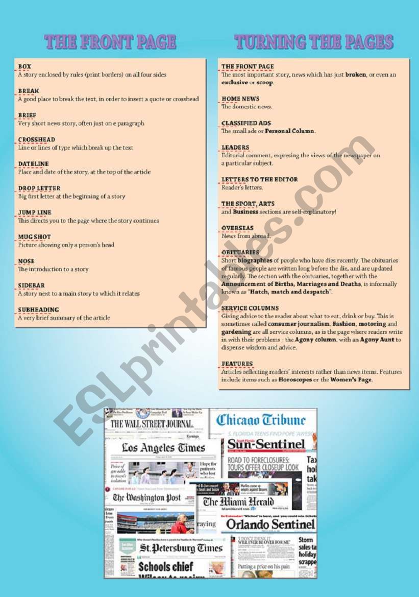 The Newspaper - Part 2 worksheet