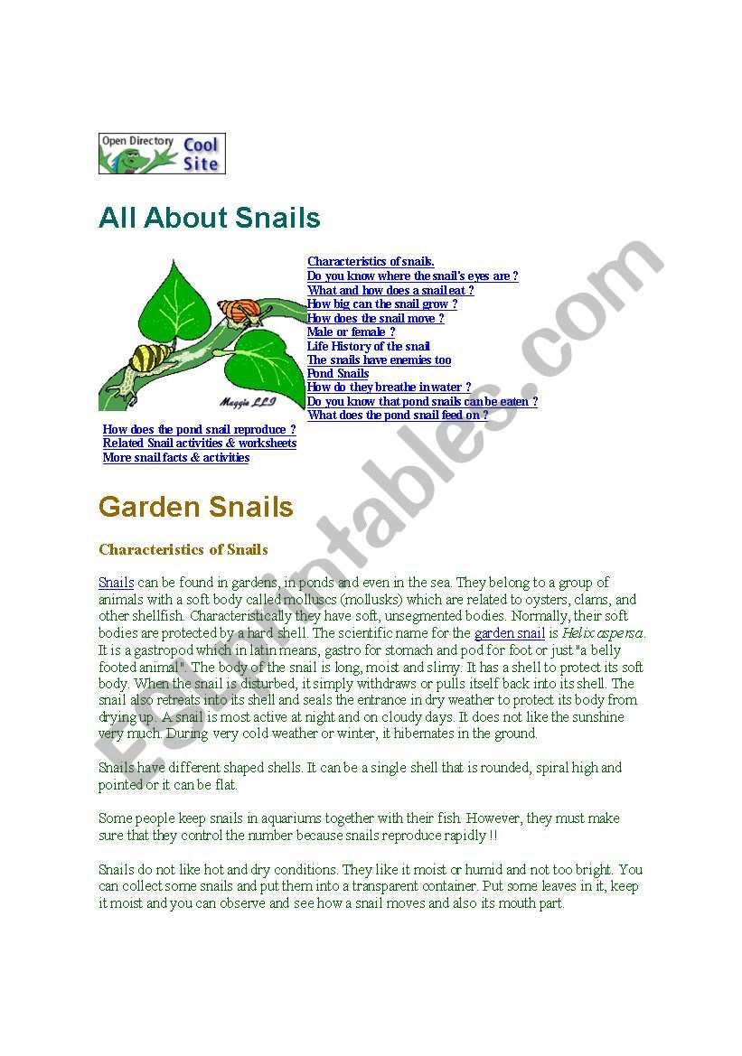 All about snails worksheet