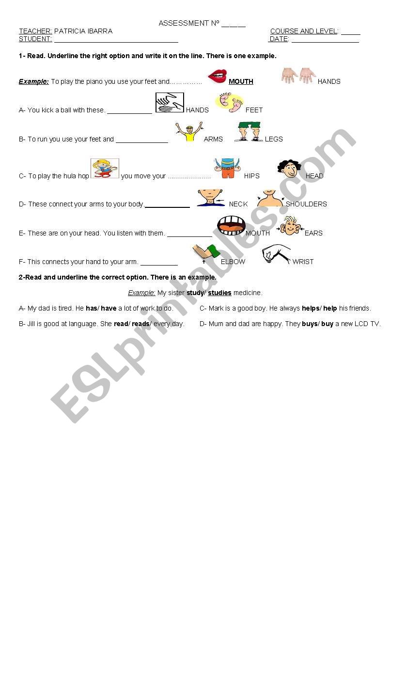 Body parts worksheet