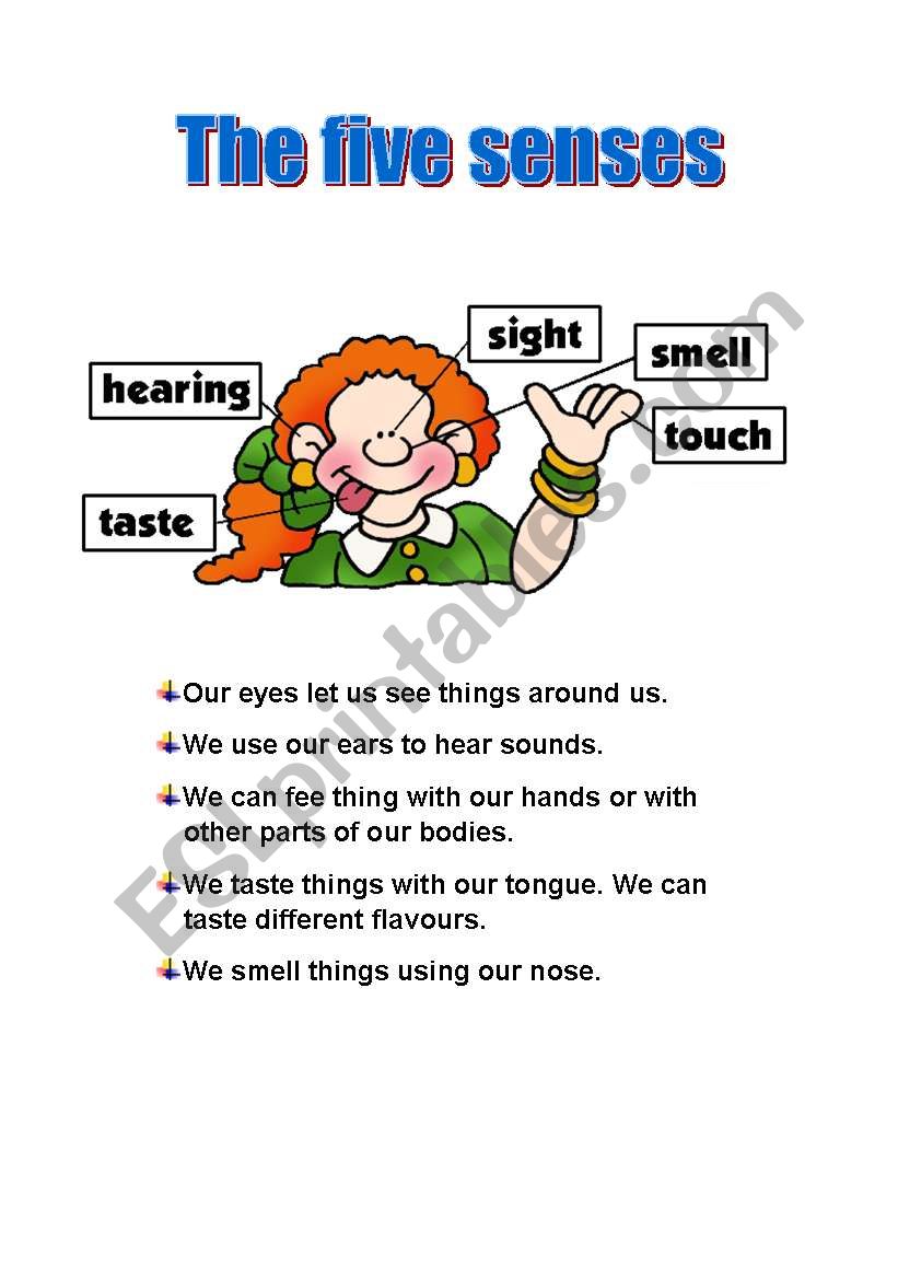 The five senses worksheet