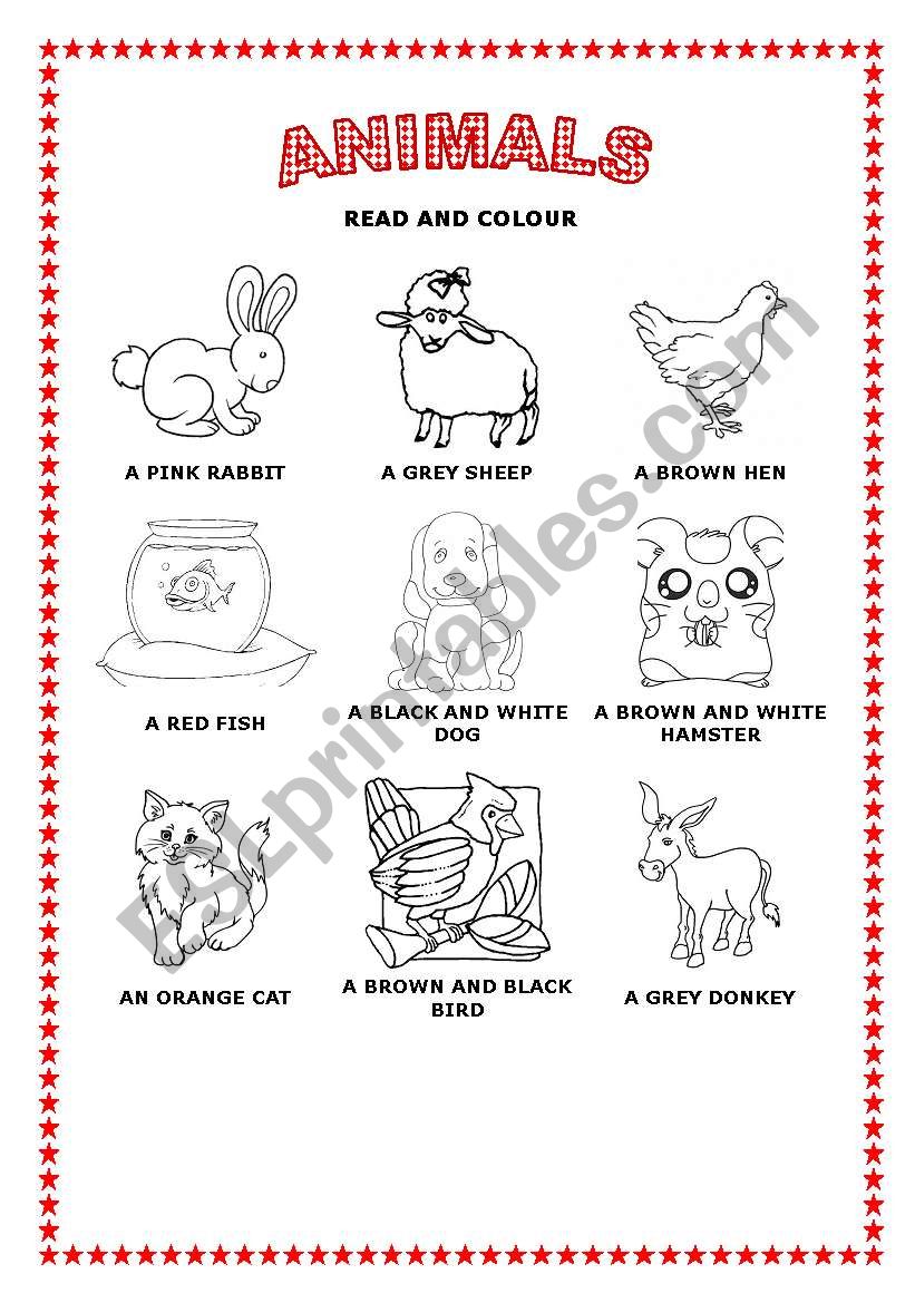 READ AND COLOUR THE ANIMALS worksheet