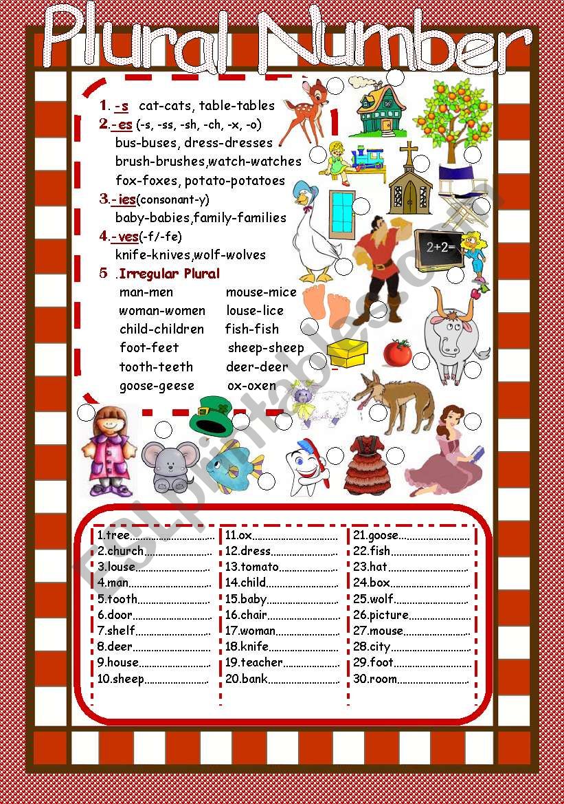 Plural Number worksheet