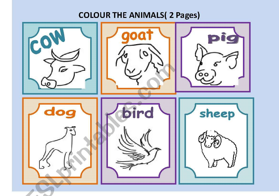 ANIMALS worksheet