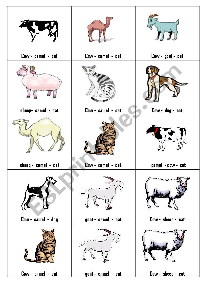 animals worksheet