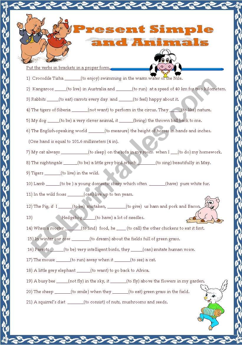 Present Simple and Animals worksheet