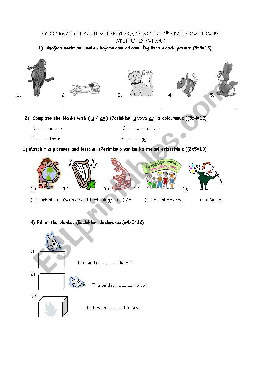 4th grade exam worksheet