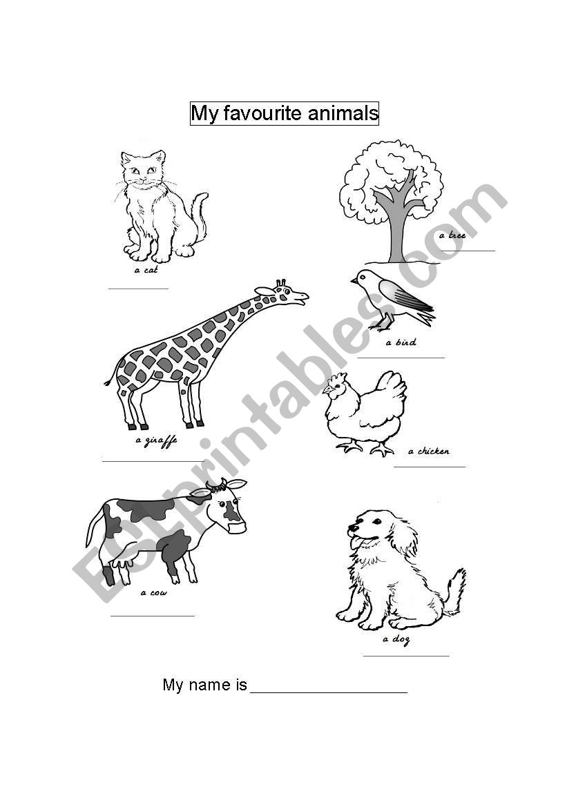 My favourite animals worksheet