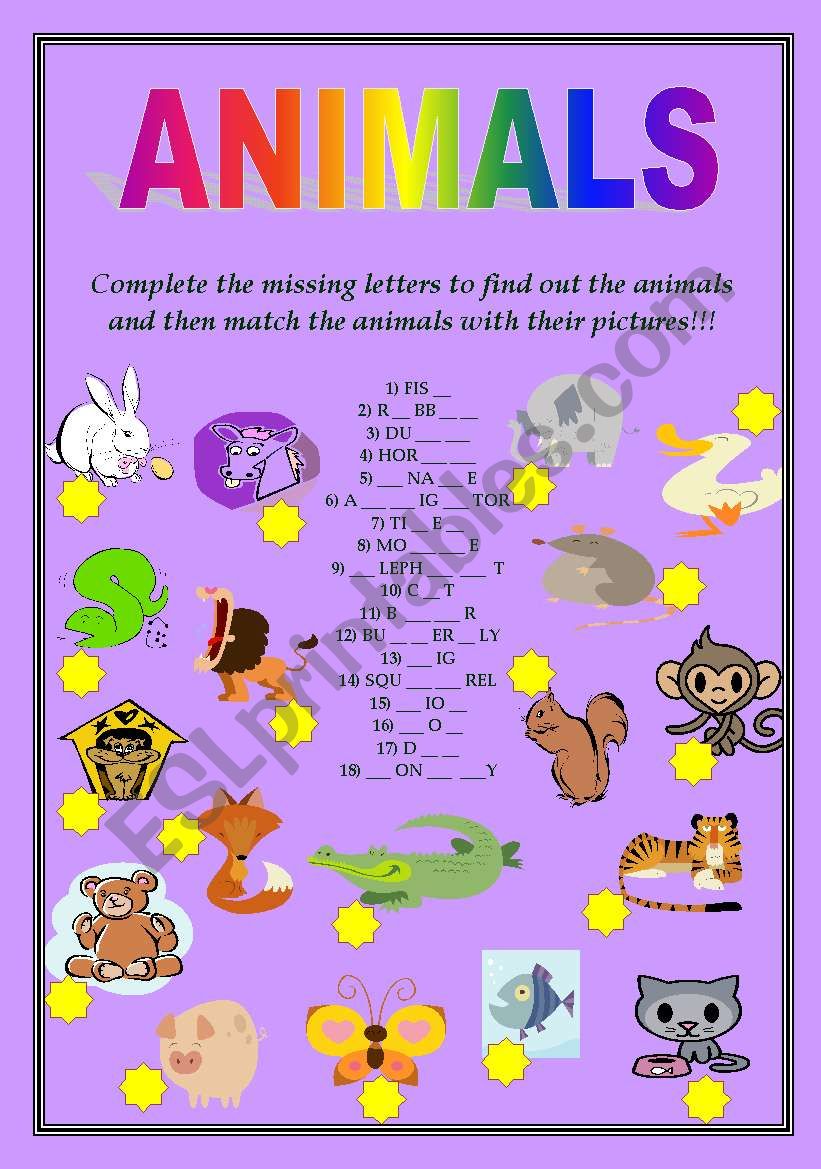 Animals worksheet