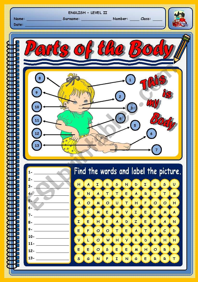 PARTS OF THE BODY worksheet