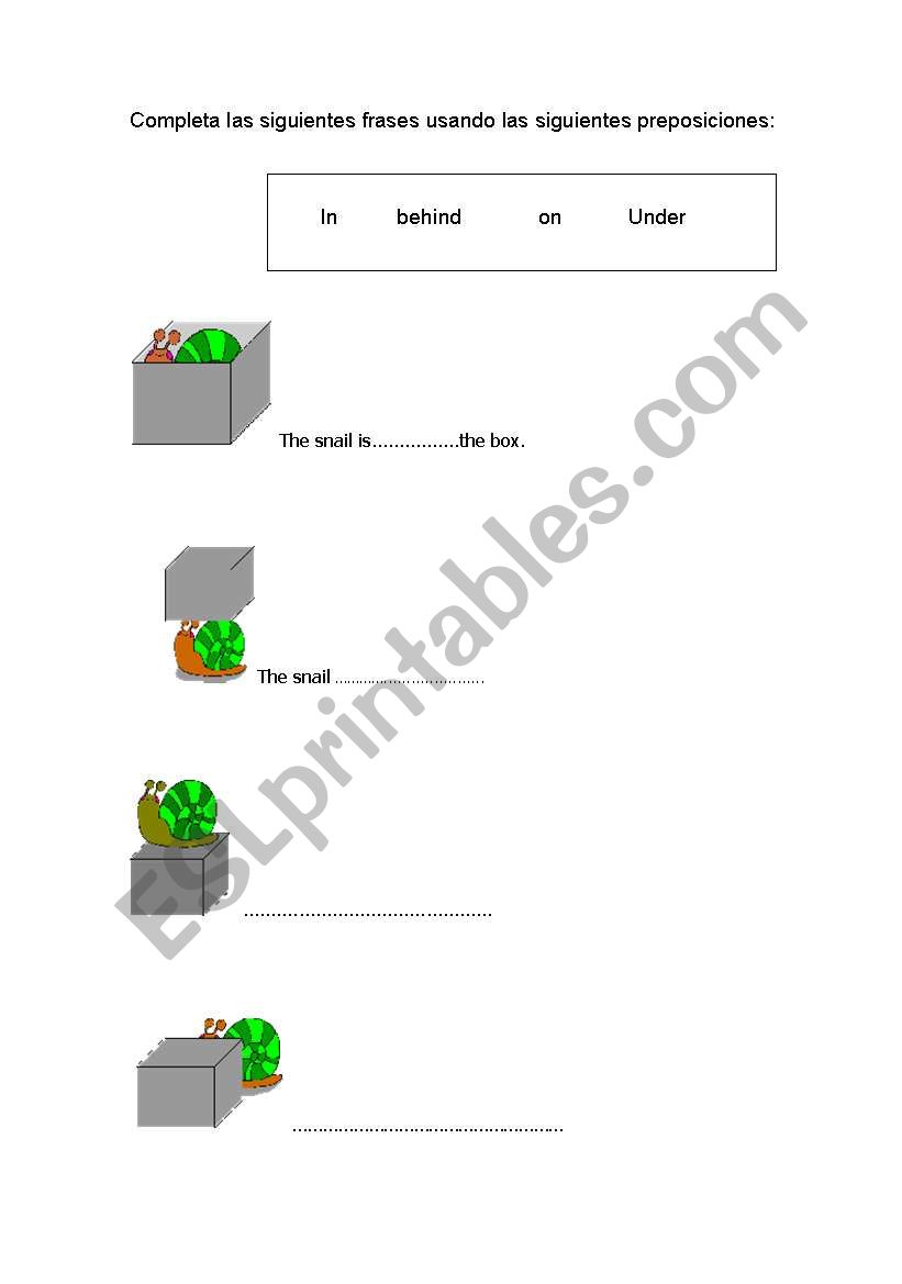 the snail  worksheet