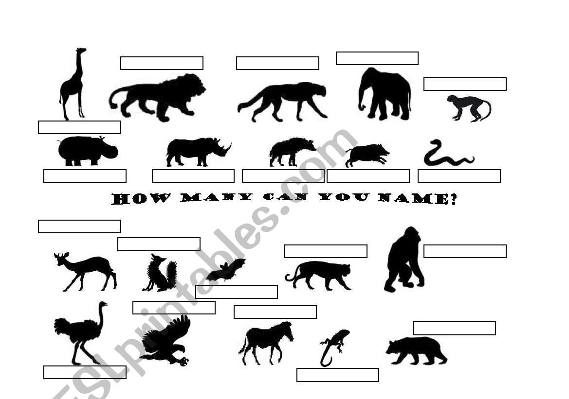 how many animals can you name?