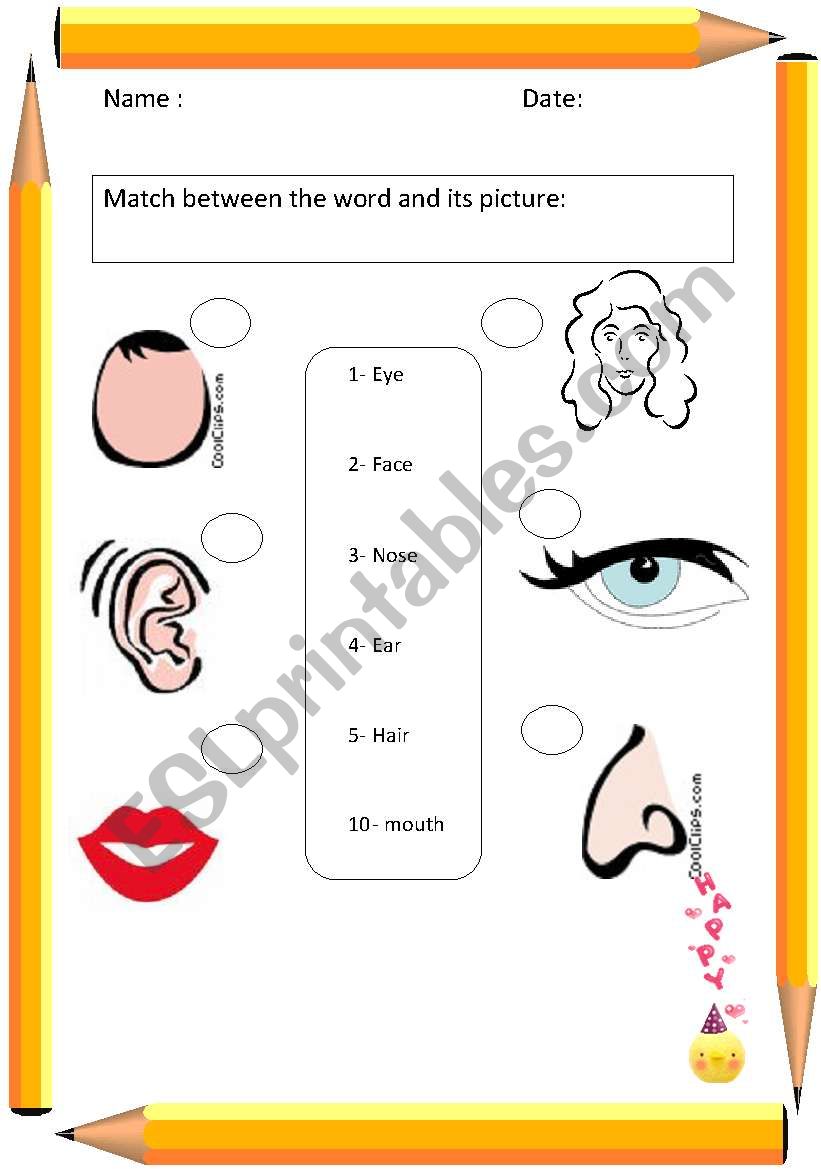 face worksheet