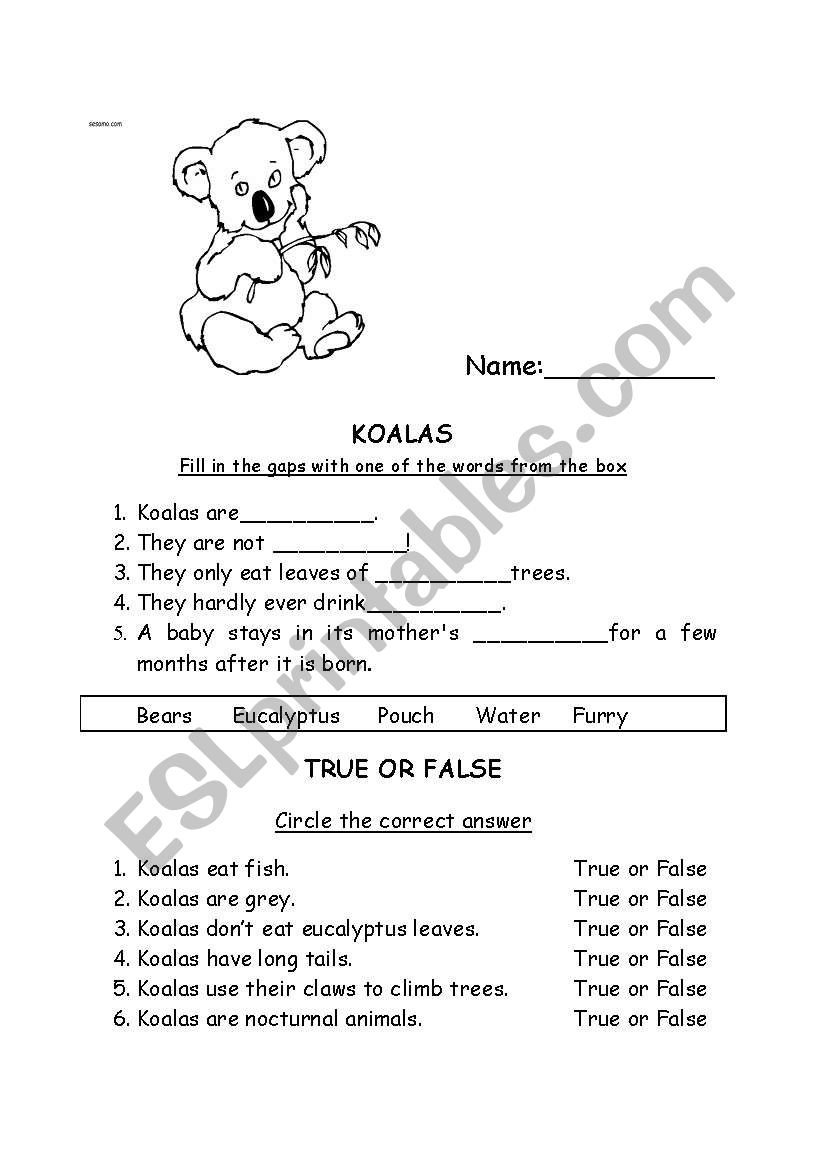 Koalas worksheet