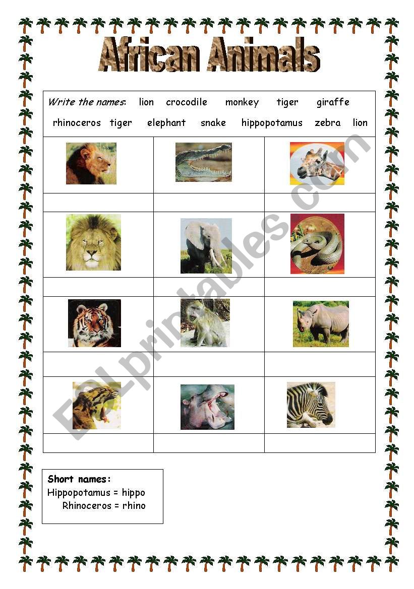 African Animals worksheet