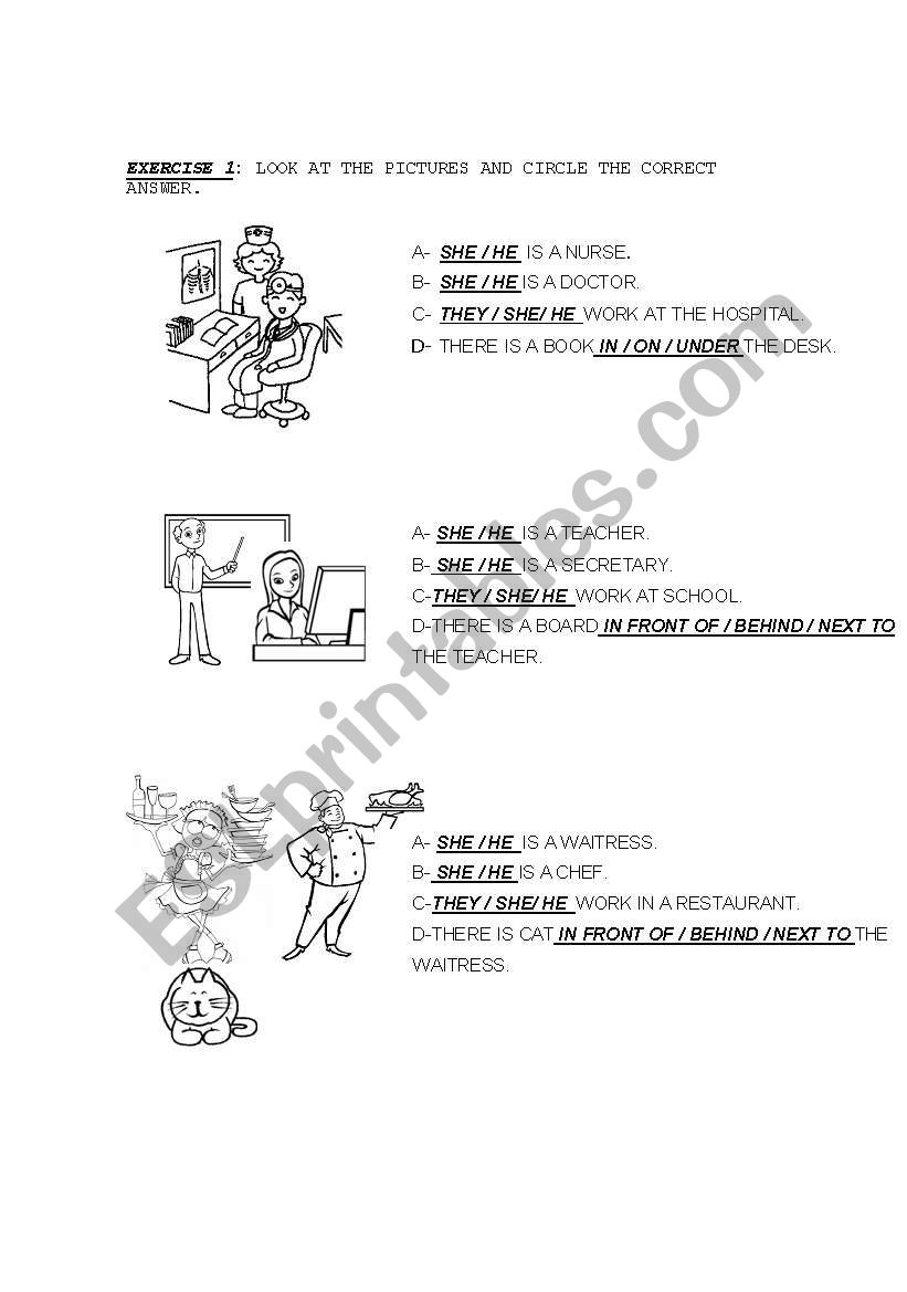 Pronouns worksheet