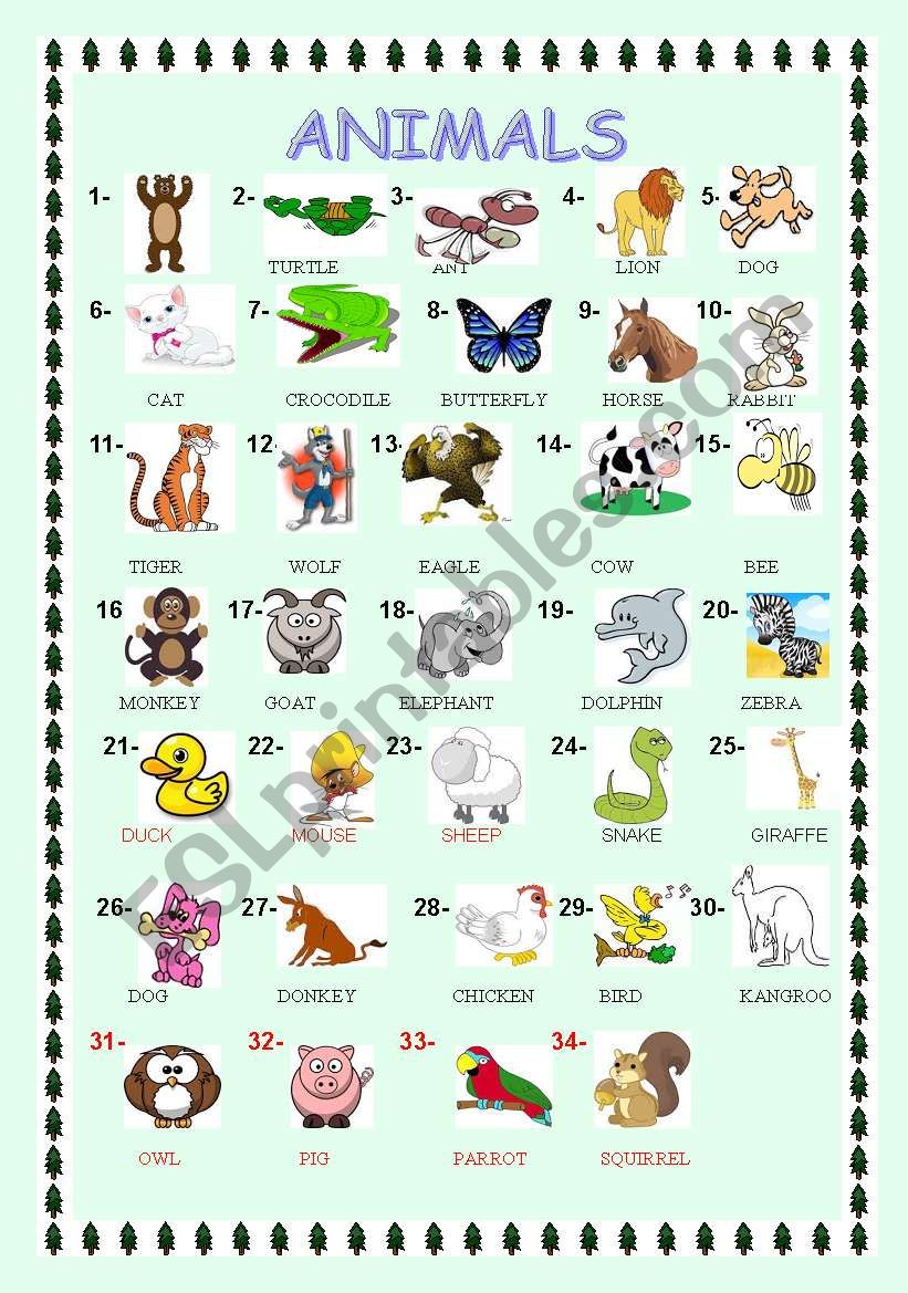 animals worksheet