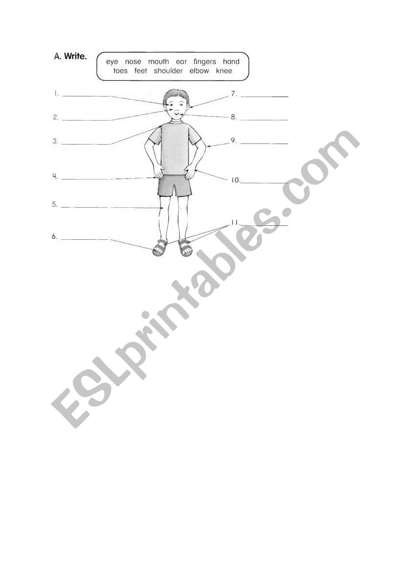 Parts of body worksheet