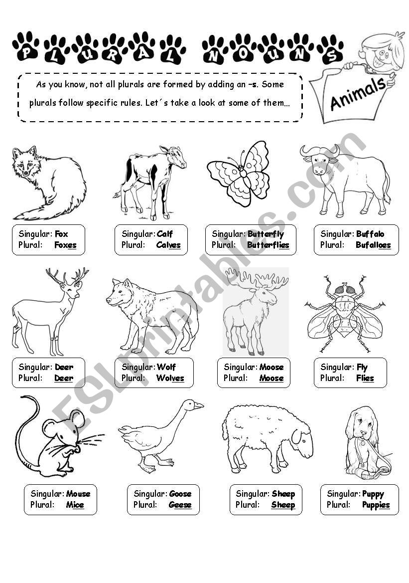 Animals - Plural Nouns, Page 1 (Editable)