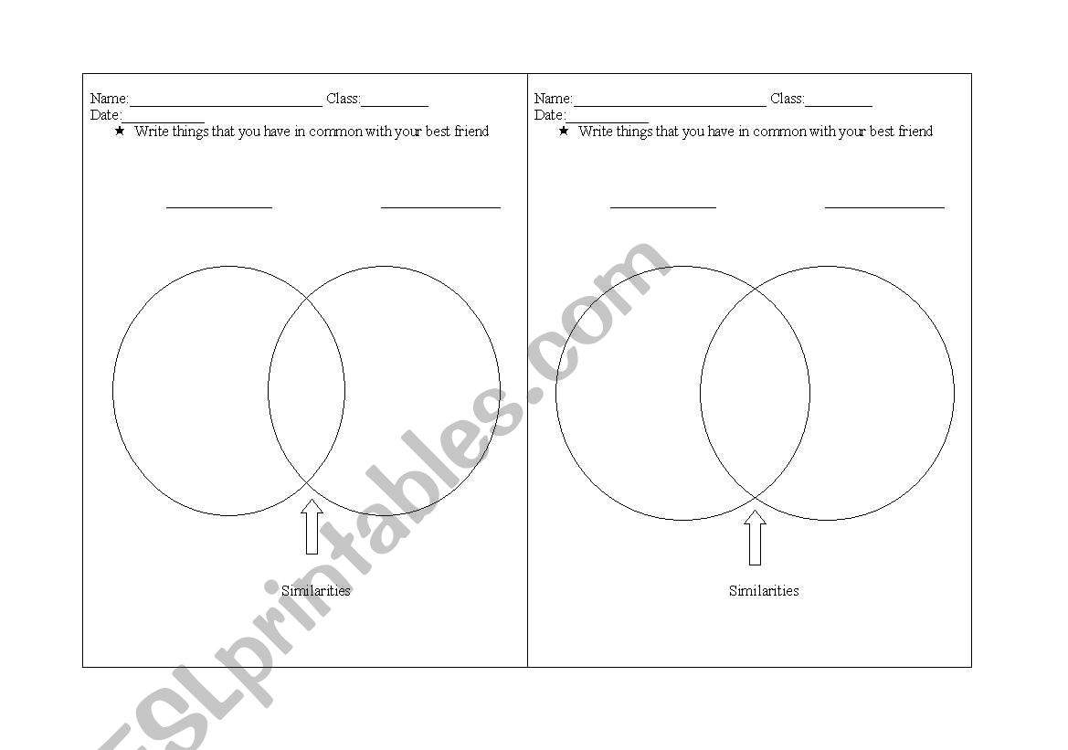 venn diagram  worksheet