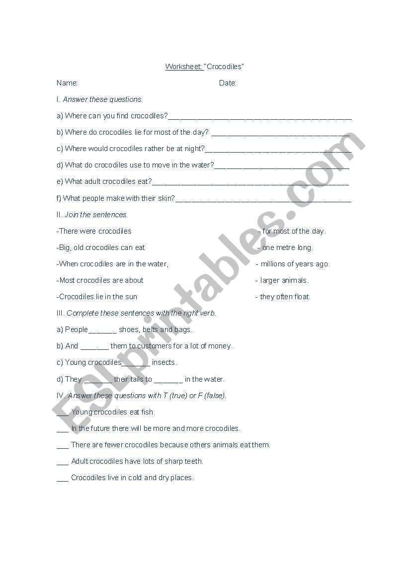 worksheet 