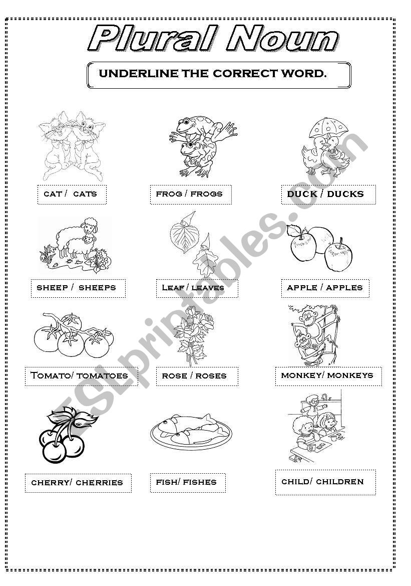 plural noun worksheet