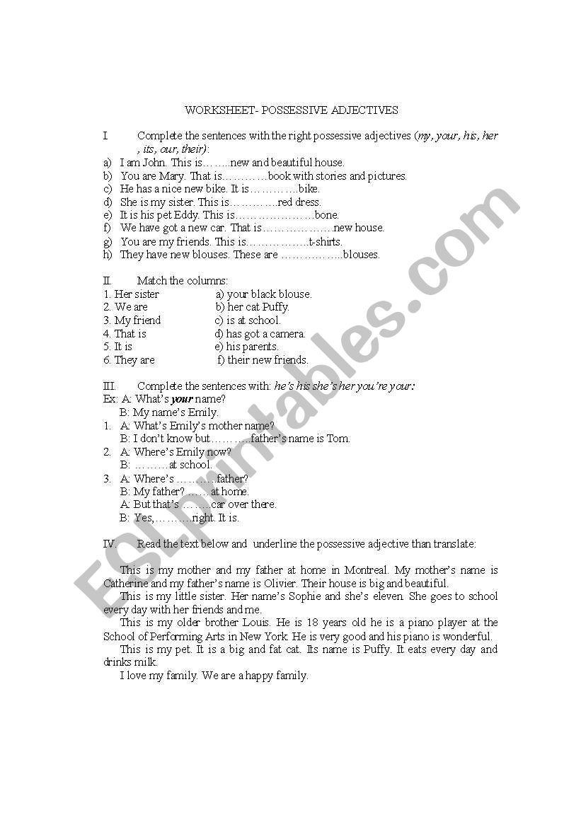 possessive adjectives worksheet