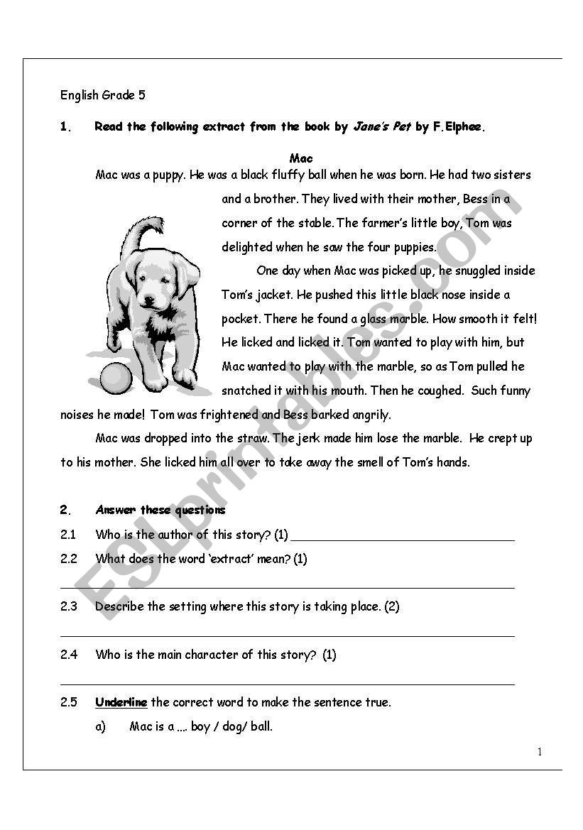 Mac worksheet