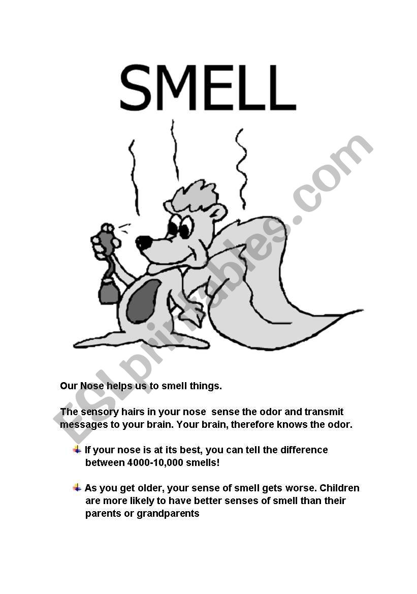 The sense of smell worksheet