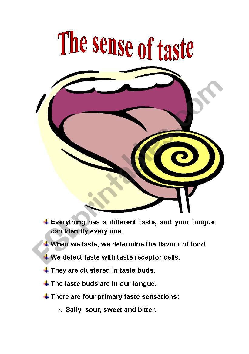 The sense of taste worksheet