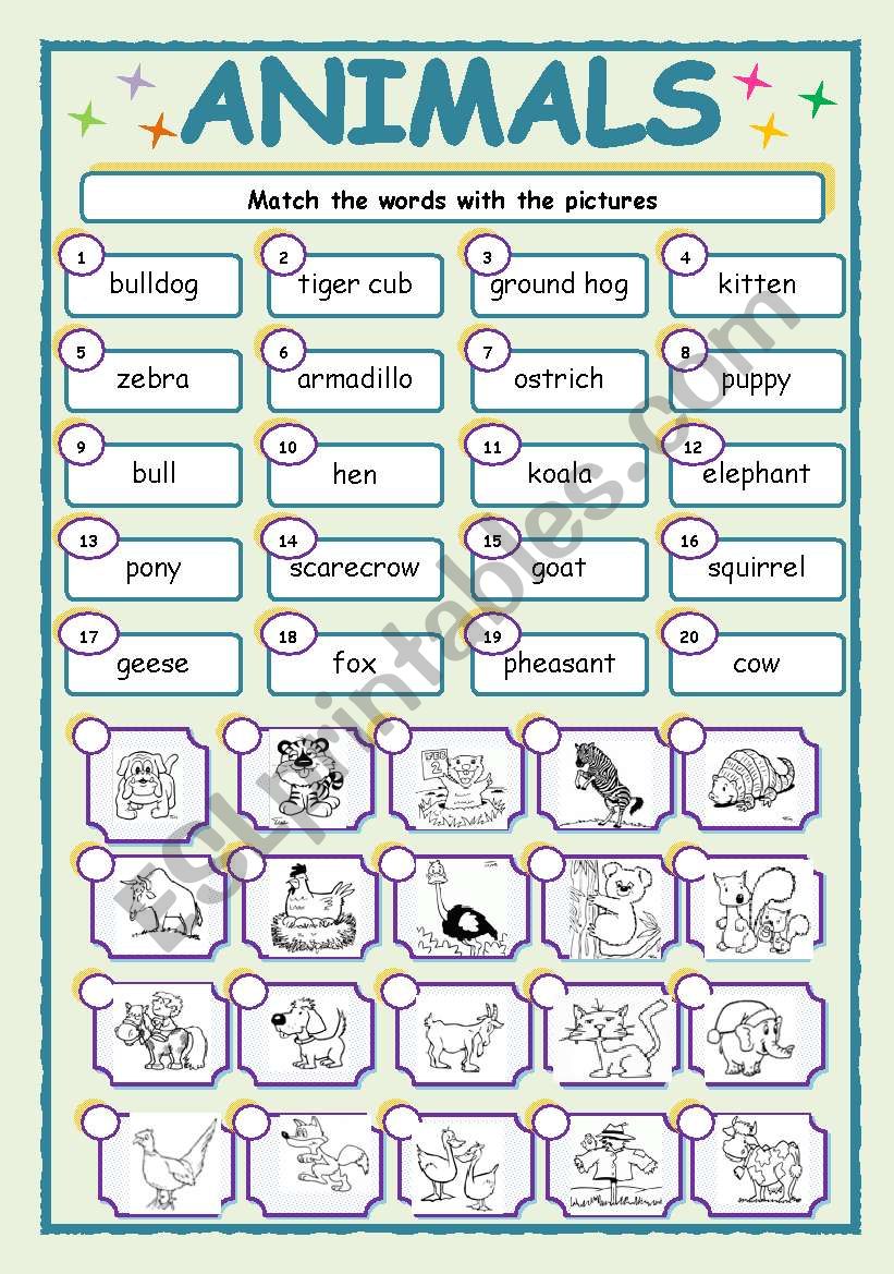 ANIMALS-2 worksheet