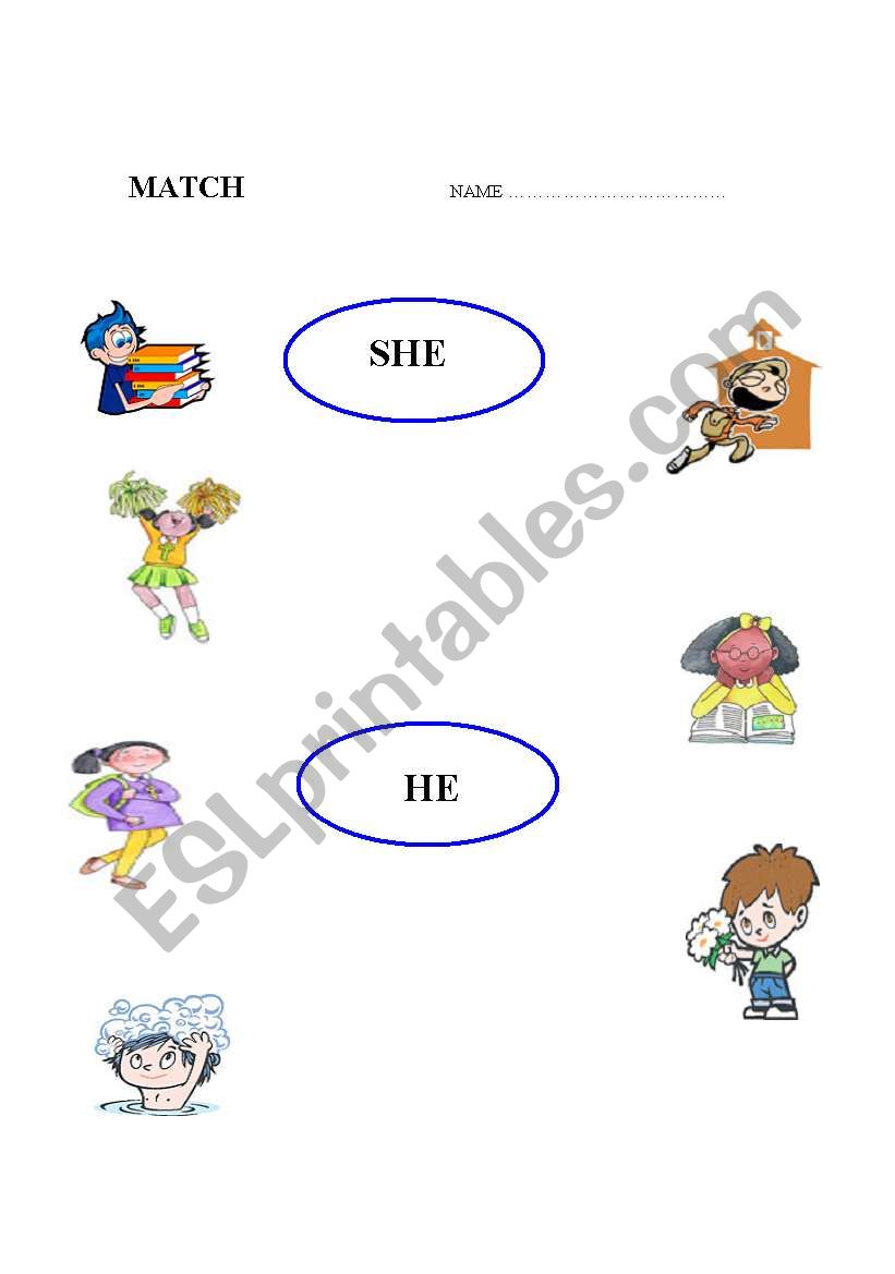 she or he? worksheet